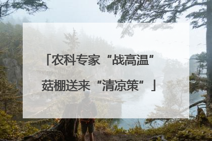 农科专家“战高温” 菇棚送来“清凉策”