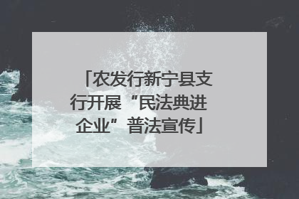 农发行新宁县支行开展“民法典进企业”普法宣传