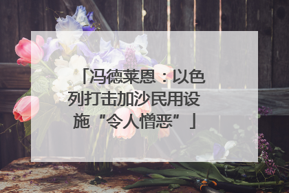 冯德莱恩：以色列打击加沙民用设施“令人憎恶”