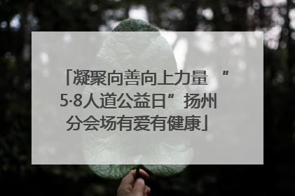 凝聚向善向上力量 “5·8人道公益日”扬州分会场有爱有健康