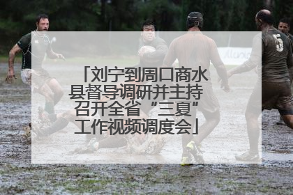 刘宁到周口商水县督导调研并主持召开全省“三夏”工作视频调度会