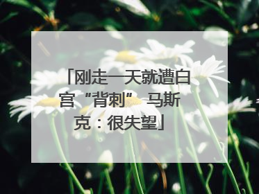 刚走一天就遭白宫“背刺” 马斯克：很失望