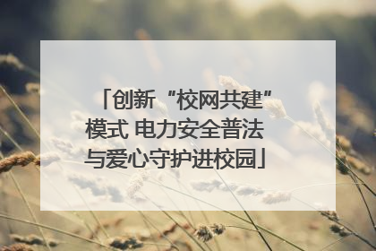 创新“校网共建”模式 电力安全普法与爱心守护进校园