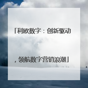 利欧数字：创新驱动，领航数字营销浪潮