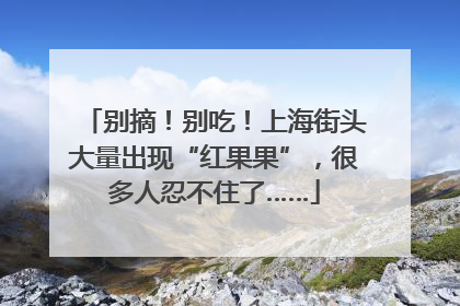 别摘！别吃！上海街头大量出现“红果果”，很多人忍不住了……
