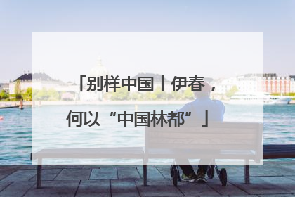 别样中国丨伊春，何以“中国林都”