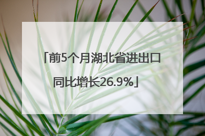 前5个月湖北省进出口同比增长26.9%
