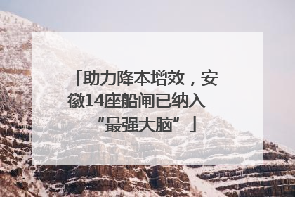 助力降本增效，安徽14座船闸已纳入“最强大脑”