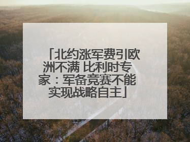 北约涨军费引欧洲不满 比利时专家：军备竞赛不能实现战略自主