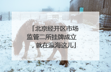 北京经开区市场监管二所挂牌成立，就在瀛海这儿