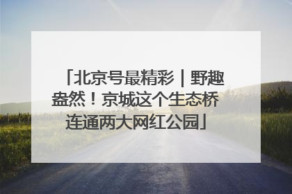 北京号最精彩｜野趣盎然！京城这个生态桥连通两大网红公园