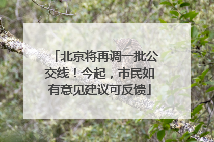 北京将再调一批公交线！今起，市民如有意见建议可反馈