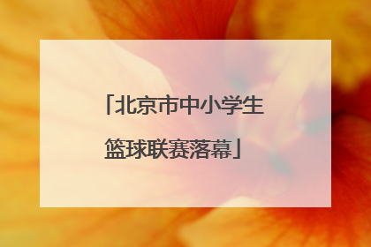 北京市中小学生篮球联赛落幕