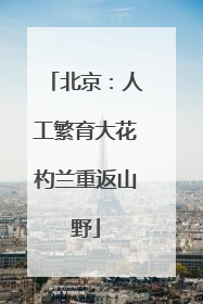 北京：人工繁育大花杓兰重返山野
