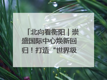 北向看衡阳｜崇盛国际中心焕新回归！打造“世界级美食主题公园”