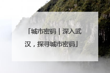 城市密码｜深入武汉，探寻城市密码