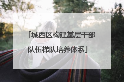 城西区构建基层干部队伍梯队培养体系