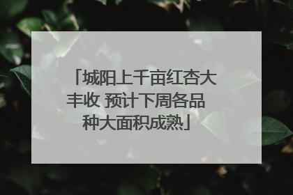 城阳上千亩红杏大丰收 预计下周各品种大面积成熟