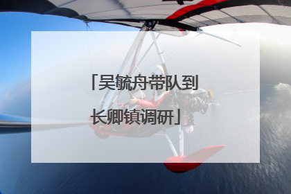 吴毓舟带队到长卿镇调研