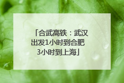 合武高铁：武汉出发1小时到合肥3小时到上海