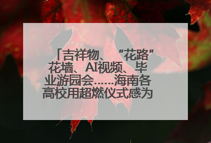 吉祥物、“花路”花墙、AI视频、毕业游园会……海南各高校用超燃仪式感为学子青春“存档”