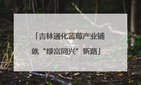 吉林通化蓝莓产业铺就“绿富同兴”新路