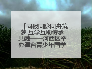 同根同脉同舟筑梦 互学互助传承共融——河西区举办津台青少年国学交流活动