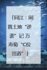 同江：闲置土地“逆袭”记 万寿菊“C位出道”