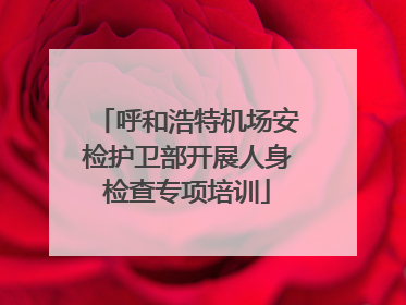 呼和浩特机场安检护卫部开展人身检查专项培训