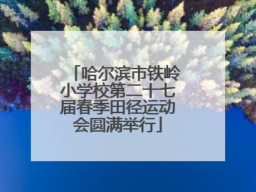哈尔滨市铁岭小学校第二十七届春季田径运动会圆满举行