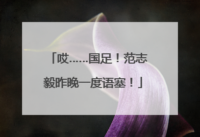 哎……国足！范志毅昨晚一度语塞！