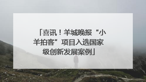 喜讯！羊城晚报“小羊拍客”项目入选国家级创新发展案例
