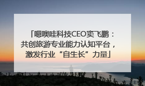 嗯噢哇科技CEO窦飞鹏：共创旅游专业能力认知平台，激发行业“自生长”力量