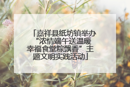 嘉祥县纸坊镇举办“浓情端午送温暖 幸福食堂粽飘香”主题文明实践活动