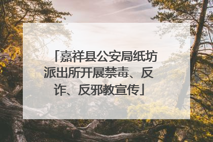 嘉祥县公安局纸坊派出所开展禁毒、反诈、反邪教宣传