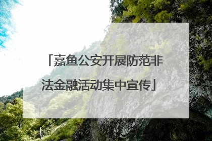 嘉鱼公安开展防范非法金融活动集中宣传