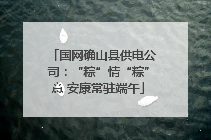 国网确山县供电公司：“粽”情“粽”意 安康常驻端午