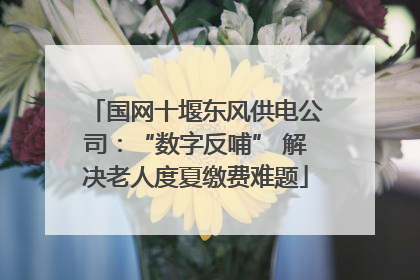 国网十堰东风供电公司：“数字反哺” 解决老人度夏缴费难题