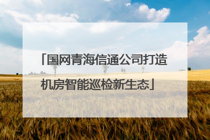 国网青海信通公司打造机房智能巡检新生态