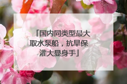 国内同类型最大取水泵船，抗旱保灌大显身手