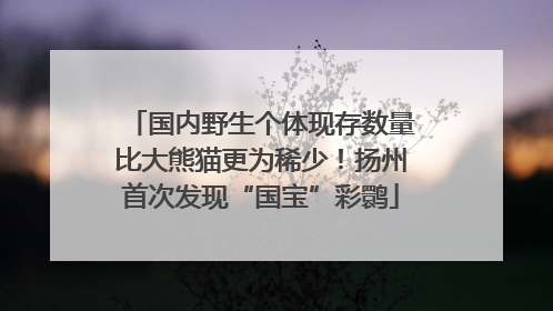 国内野生个体现存数量比大熊猫更为稀少！扬州首次发现“国宝”彩鹮
