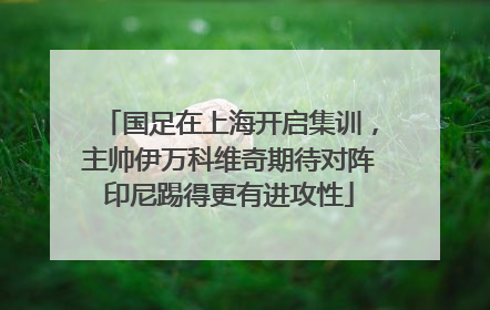 国足在上海开启集训，主帅伊万科维奇期待对阵印尼踢得更有进攻性