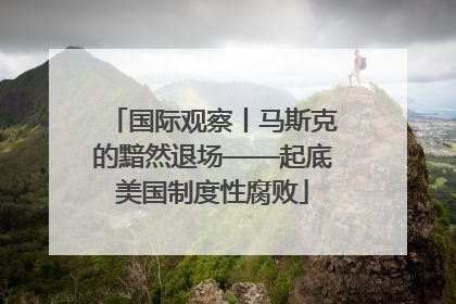 国际观察丨马斯克的黯然退场——起底美国制度性腐败