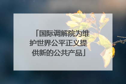 国际调解院为维护世界公平正义提供新的公共产品