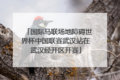 国际马联场地障碍世界杯中国联赛武汉站在武汉经开区开赛