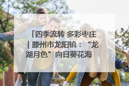 四季流转 多彩枣庄｜滕州市龙阳镇：“龙湖月色”向日葵花海 绘就乡村振兴新画卷
