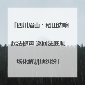 四川眉山：稻田边响起法槌声 巡回法庭现场化解耕地纠纷