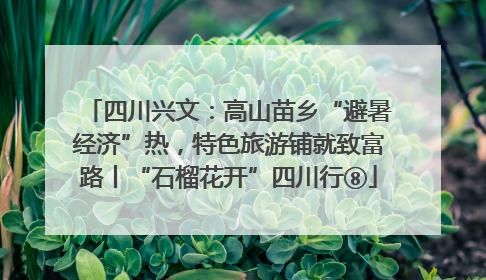 四川兴文：高山苗乡“避暑经济”热，特色旅游铺就致富路丨“石榴花开”四川行⑧