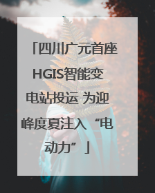 四川广元首座HGIS智能变电站投运 为迎峰度夏注入“电动力”