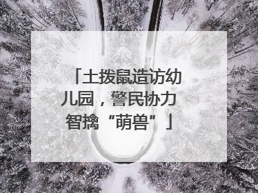 土拨鼠造访幼儿园，警民协力智擒“萌兽”